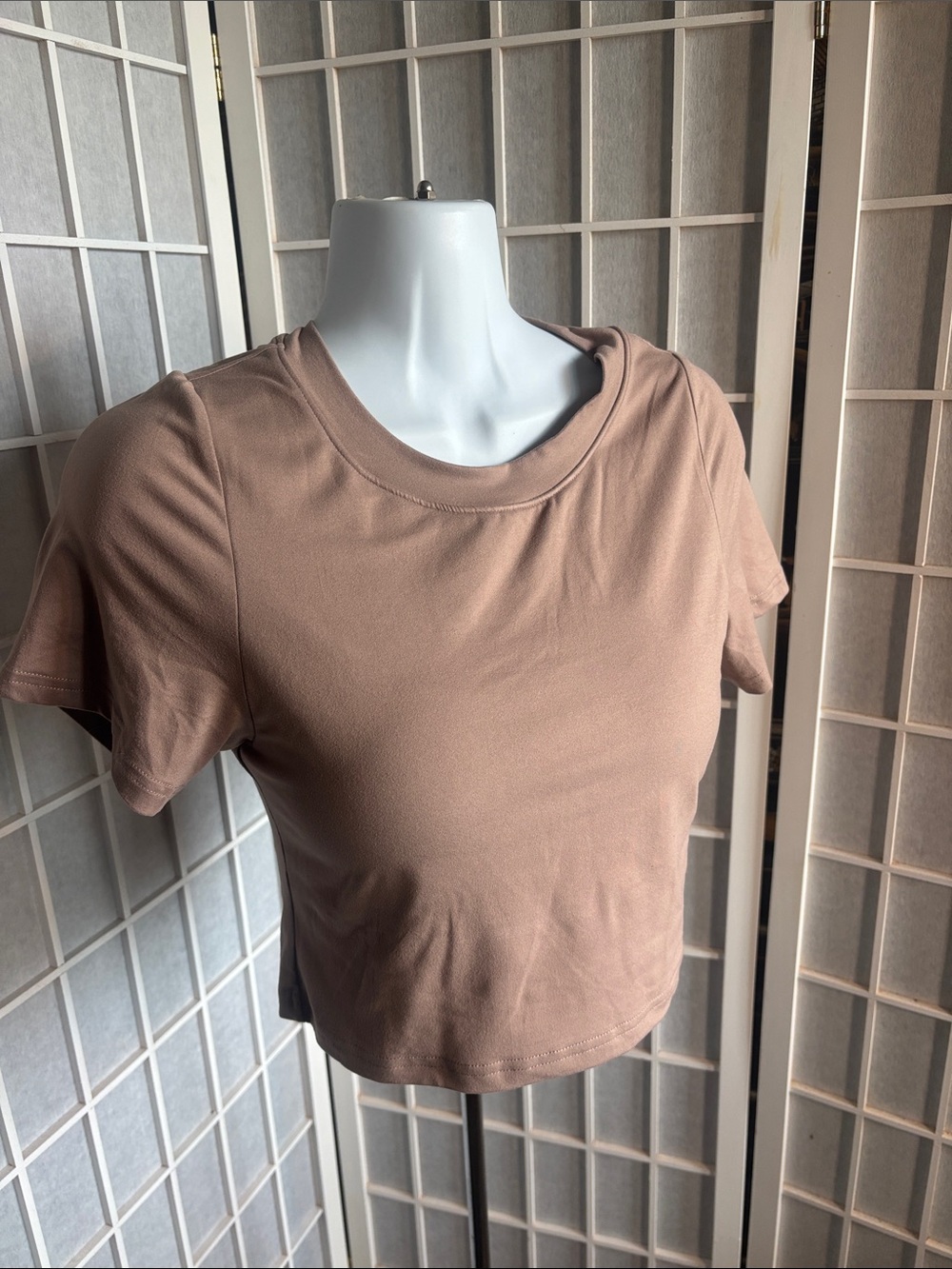 Klassy Network Taupe Cropped Short Sleeve Top with built in bra and cups